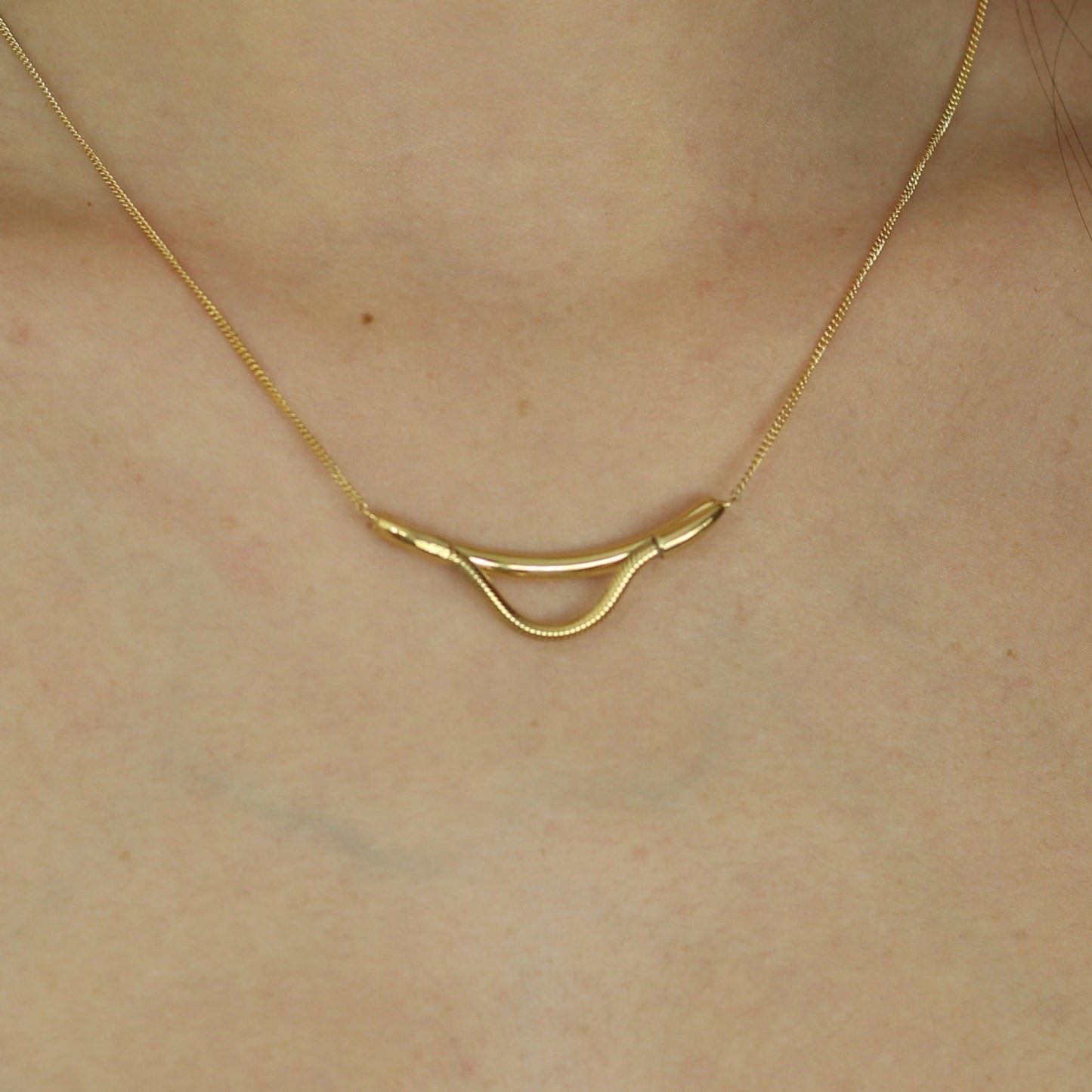 Collar Lion Oro Vermeil